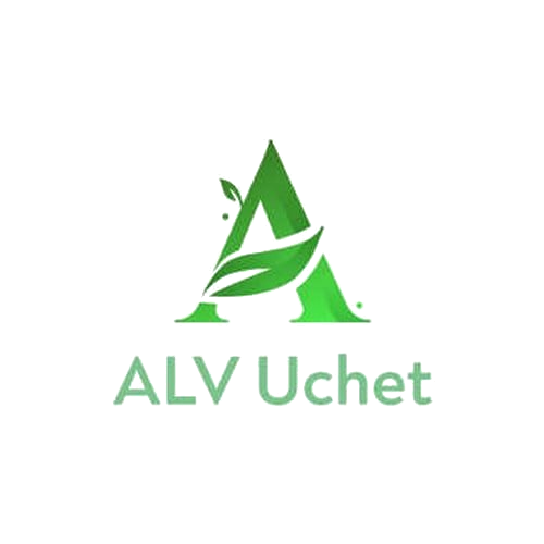 ALV Uchet